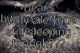 Why you sleeping - BEARS HIBERNATE FOR A REASON WHY ARE YOU STILL SLEEPING THOUGH??? Misc