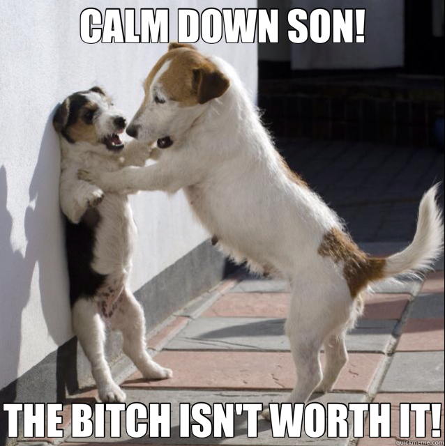 CALM DOWN SON! THE BITCH ISN'T WORTH IT!   