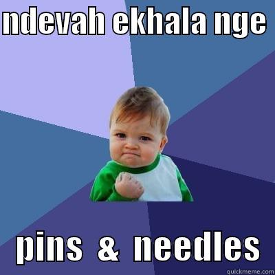 my girl-s - NDEVAH EKHALA NGE     PINS  &  NEEDLES  Success Kid