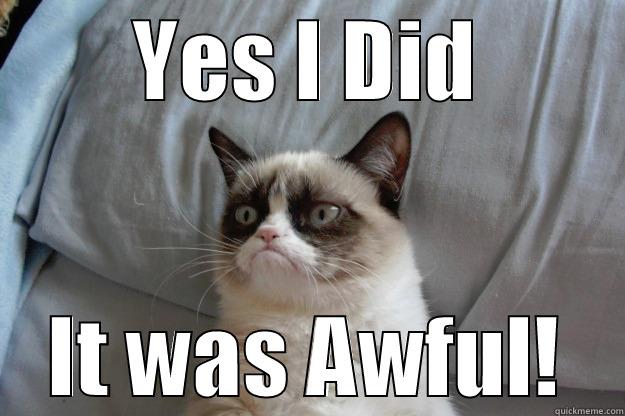 YES I DID IT WAS AWFUL! Grumpy Cat