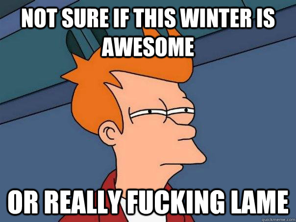 Not sure if this winter is awesome Or really fucking lame  Futurama Fry