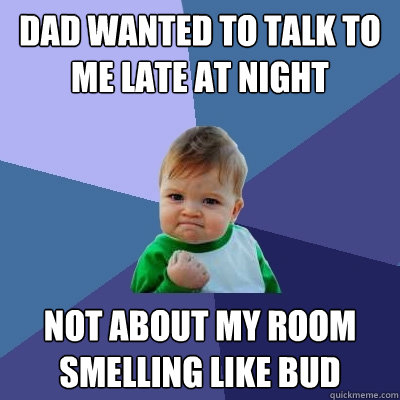 Dad wanted to talk to me late at night Not about my room smelling like bud  Success Kid