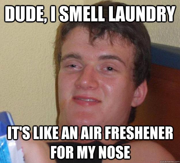 Dude, I smell laundry it's like an air freshener for my nose  10 Guy