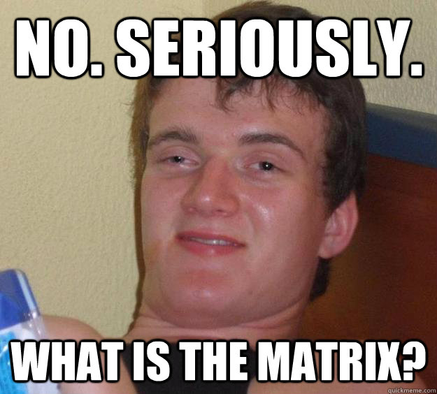 no. seriously. what is the matrix?  10 Guy