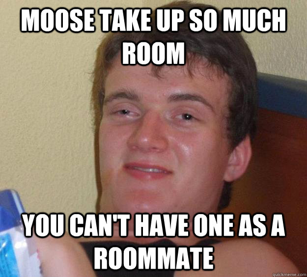 Moose take up so much room you can't have one as a roommate  10 Guy