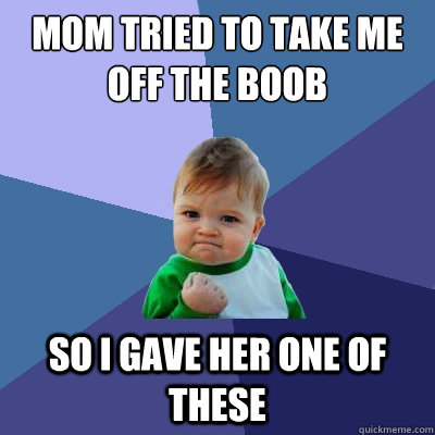 Mom tried to take me off the boob So I gave her one of these  Success Kid