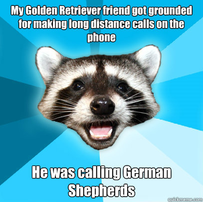 My Golden Retriever friend got grounded for making long distance calls on the phone He was calling German Shepherds   Lame Pun Coon