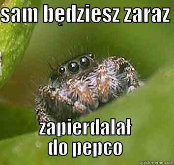 SAM BĘDZIESZ ZARAZ  ZAPIERDALAŁ DO PEPCO Misunderstood Spider