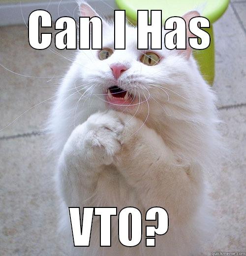 VTO Cat - CAN I HAS VTO? Misc