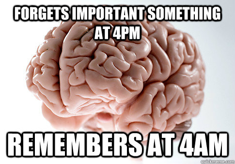 Forgets important something at 4pm Remembers at 4am  Scumbag Brain