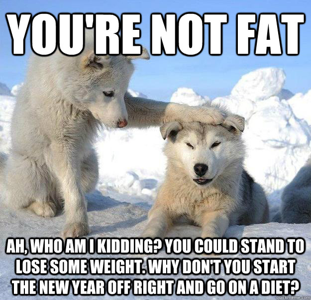 You're not fat Ah, who am I kidding? You could stand to lose some weight. Why don't you start the New Year off right and go on a diet?  Caring Husky