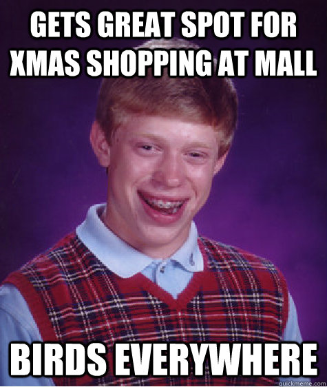 gets great spot for xmas shopping at mall birds everywhere  Bad Luck Brian