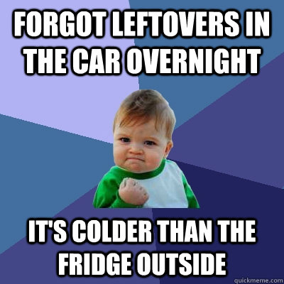 Forgot leftovers in the car overnight It's colder than the fridge outside  Success Kid