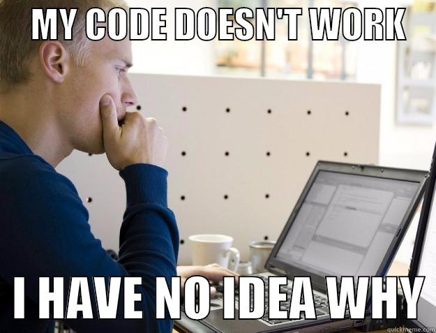     MY CODE DOESN'T WORK       I HAVE NO IDEA WHY Programmer