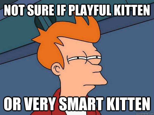 Not Sure if Playful kitten or very smart kitten   Futurama Fry