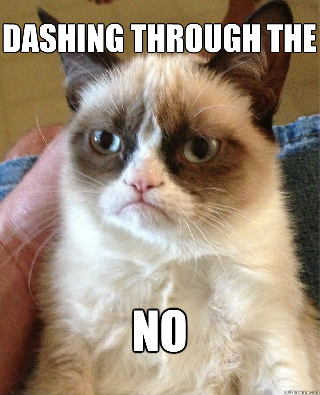 dashing through the no  Grumpy Cat