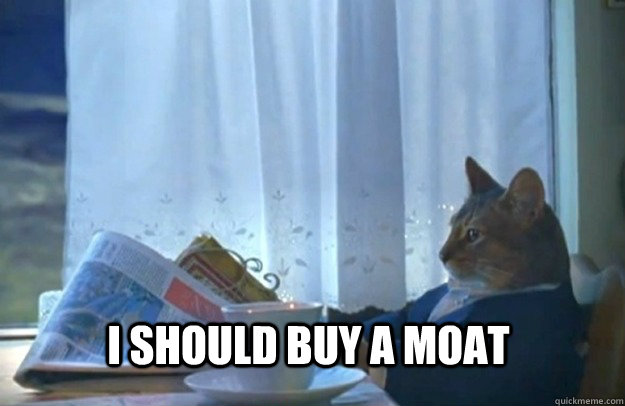 I should buy a moat  Sophisticated Cat