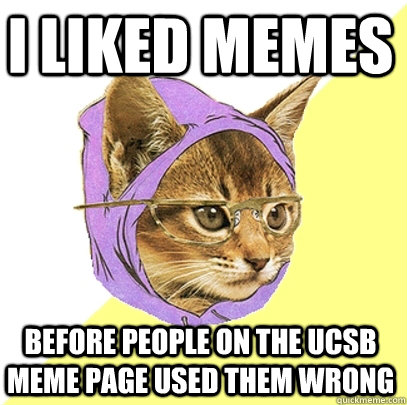 I liked memes before people on the ucsb meme page used them wrong  Hipster Kitty