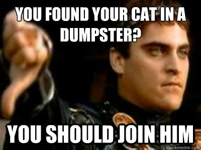 You found your cat in a dumpster? You should join him  Downvoting Roman