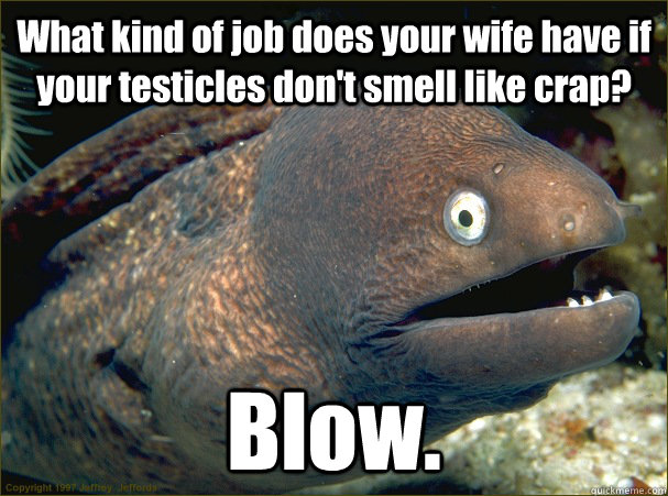 What kind of job does your wife have if your testicles don't smell like crap? Blow.  Bad Joke Eel