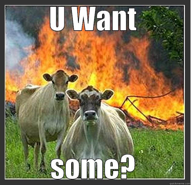 The Wealdstone cows - U WANT SOME? Evil cows