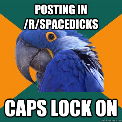 POsting in /r/spacedicks Caps lock on - POsting in /r/spacedicks Caps lock on  Paranoid Parrot