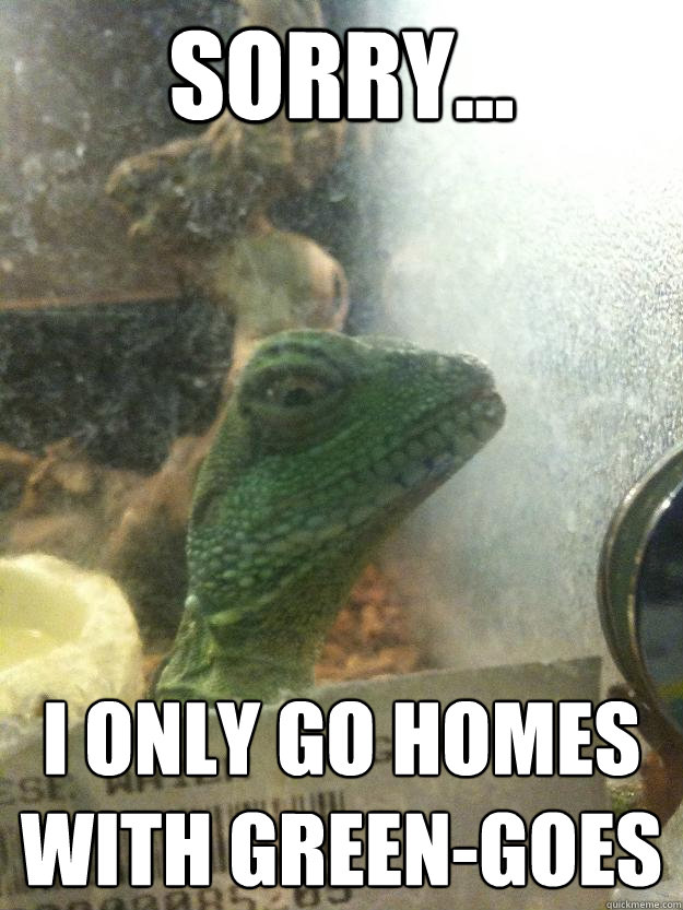 sorry... I only go homes with green-goes  Leery Lizard