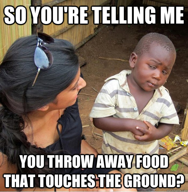 So you're telling me you throw away food that touches the ground?  Skeptical Third World Kid