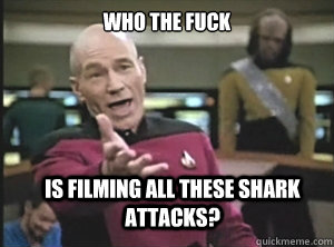 who the fuck is filming all these shark attacks? - who the fuck is filming all these shark attacks?  Annoyed Picard