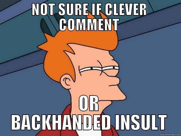 NOT SURE IF CLEVER COMMENT OR BACKHANDED INSULT Futurama Fry