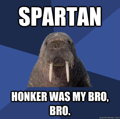 SPARTAN HONKER WAS MY BRO, BRO.  Web Developer Walrus