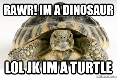 RAWR! im a dinosaur LOL jk im a turtle - RAWR! im a dinosaur LOL jk im a turtle  Misc