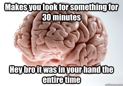 Makes you look for something for 30 minutes Hey bro it was in your hand the entire time  Caption 4 goes here  Scumbag Brain