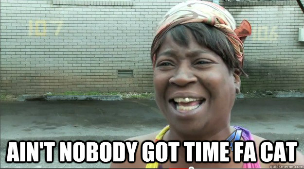  Ain't nobody got time fa CAT  Sweet Brown