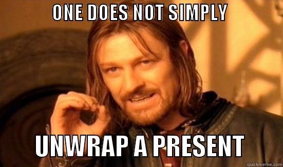               ONE DOES NOT SIMPLY                            UNWRAP A PRESENT        Boromir