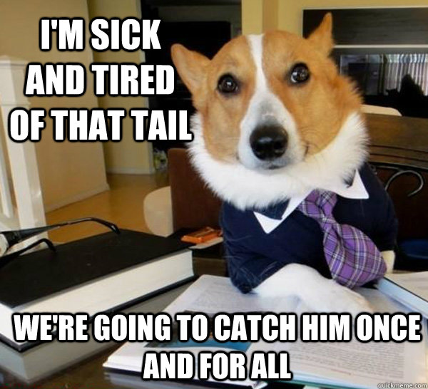 I'm sick and tired of that tail we're going to catch him once and for all  Lawyer Dog