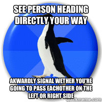 see person heading directly your way akwardly signal wether you're going to pass eachother on the left or right side - see person heading directly your way akwardly signal wether you're going to pass eachother on the left or right side  Socially Akward Stoner Penguin