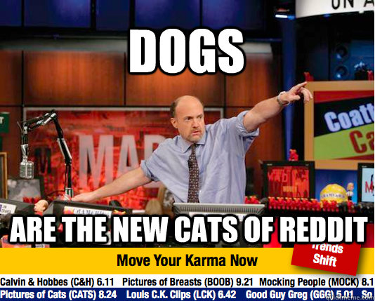 Dogs are the new cats of reddit  Mad Karma with Jim Cramer