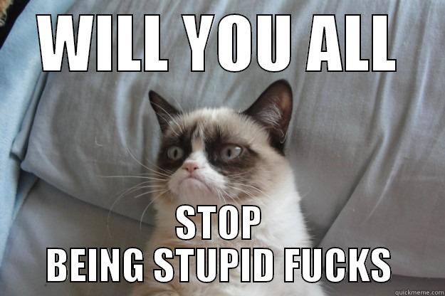 WILL YOU ALL STOP BEING STUPID FUCKS Grumpy Cat