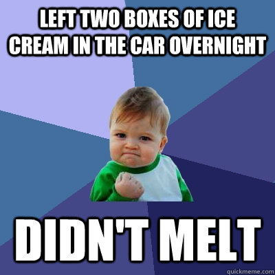 Left two boxes of ice cream in the car overnight Didn't melt  Success Kid