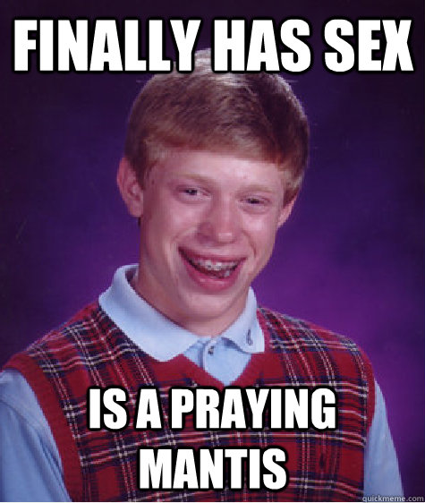 Finally has sex Is a praying mantis  Bad Luck Brian