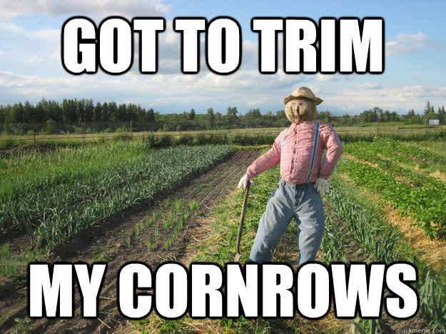 got to trim my cornrows - got to trim my cornrows  Scarecrow