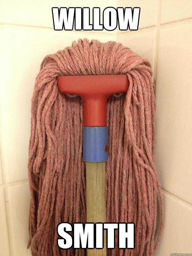 Willow Smith  Insanity Mop