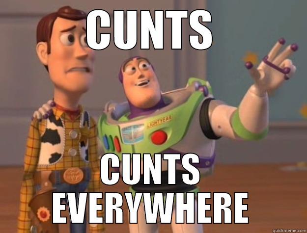 CUNTS CUNTS EVERYWHERE Toy Story