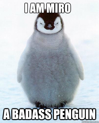 i am miro A BADASS PENGUIN  Cold Badass Penguin