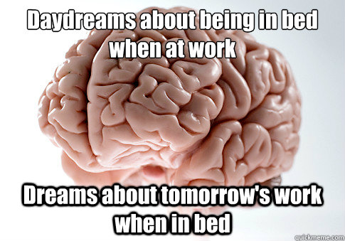 Daydreams about being in bed when at work
 Dreams about tomorrow's work when in bed  Scumbag Brain