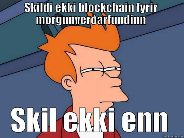 Blockchain vandræði - SKILDI EKKI BLOCKCHAIN FYRIR MORGUNVERÐARFUNDINN SKIL EKKI ENN Futurama Fry