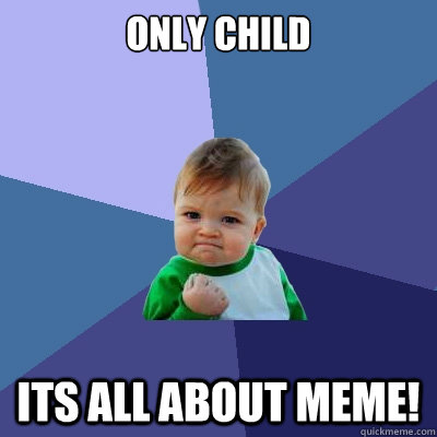 only child its all about MEME!  Success Kid