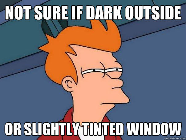 Not sure if dark outside Or slightly tinted window  Futurama Fry