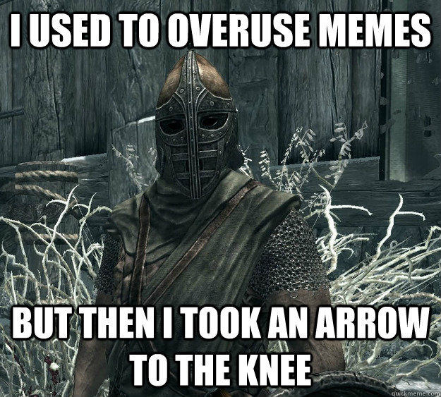 i used to overuse memes but then i took an arrow to the knee - i used to overuse memes but then i took an arrow to the knee  Skyrim Guard